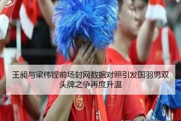 王昶与梁伟铿前场封网数据对照引发国羽男双头牌之争再度升温